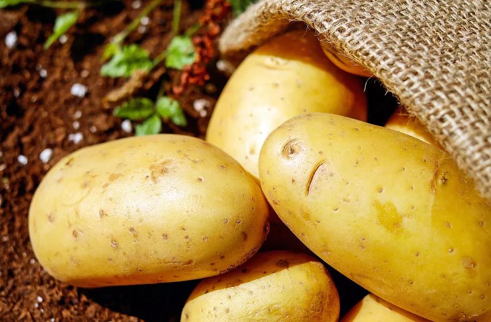 土豆是个好东西，它的这些作用你都发现了吗？